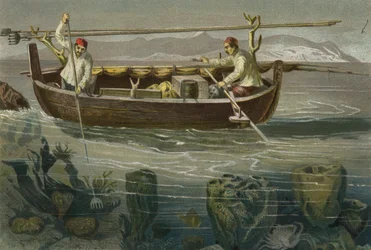 Schwammfischerei an der dalmatinischen Küste